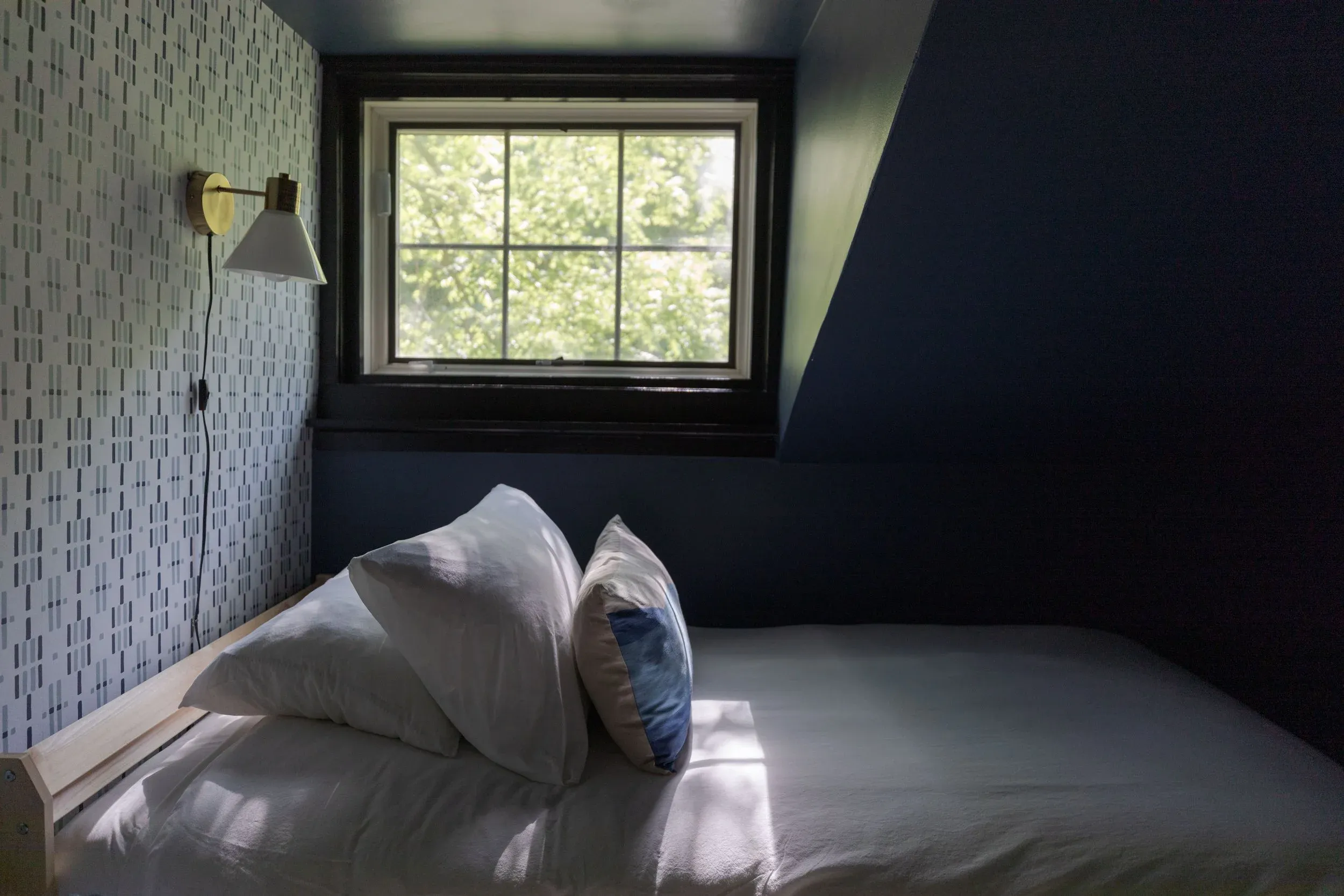 Canopy Collective image 4